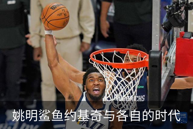 姚明鲨鱼约基奇与各自的时代