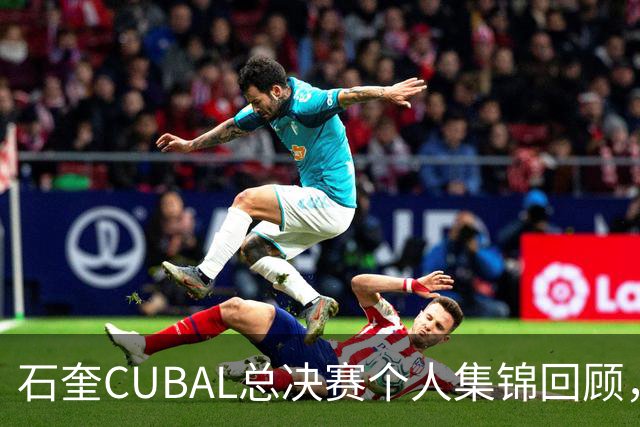 石奎CUBAL总决赛个人集锦回顾，全场得到33分11篮板