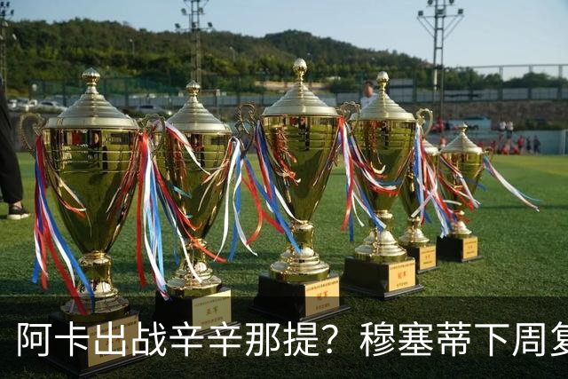 阿卡出战辛辛那提？穆塞蒂下周复出，卢宝送早餐，克娃又赢球
